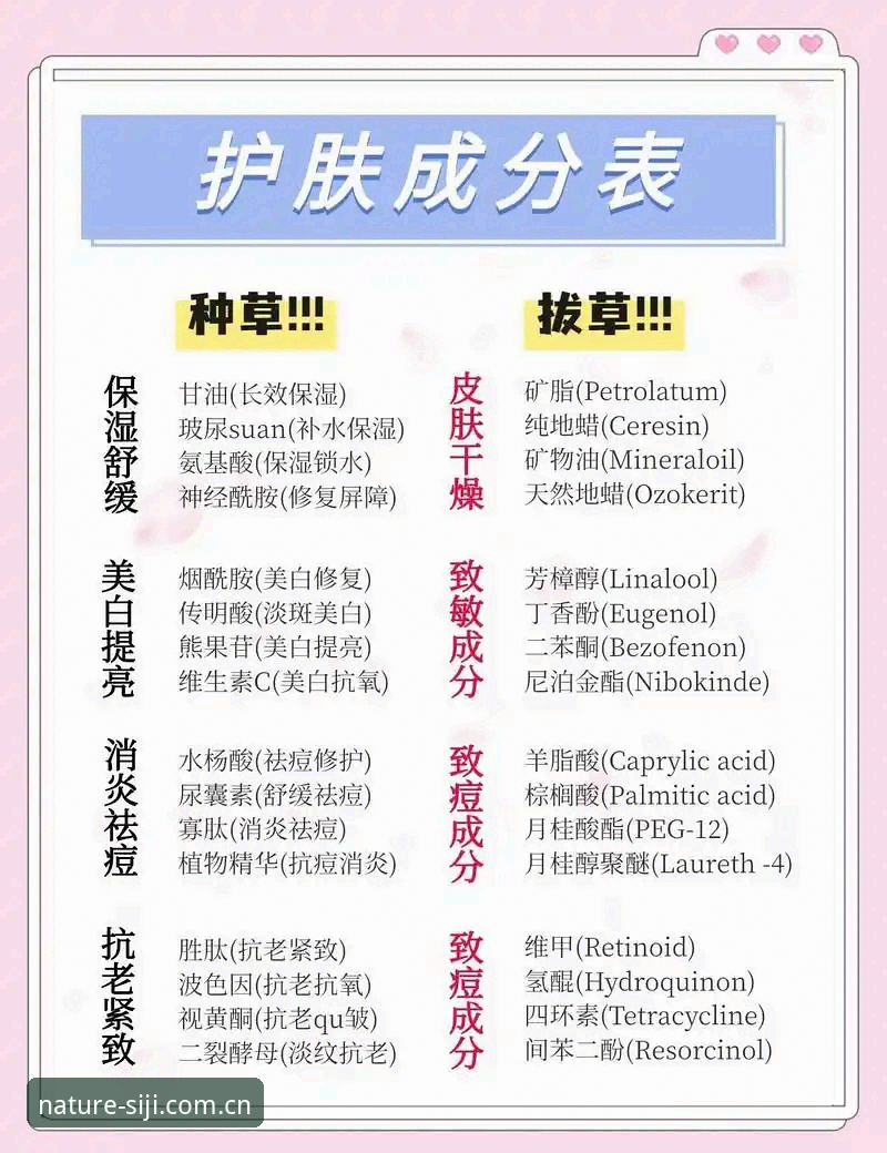 四季护肤品成分评测实用指南：从植萃到科技的全维度解析